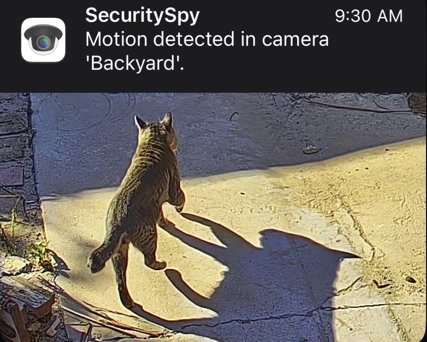 0BD05636-F4E0-455F-82E6-9A1B378018A9.jpeg