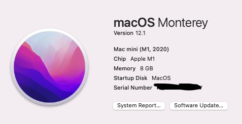 Screen Shot 2021-12-19 at 5.22.51 PM.jpg