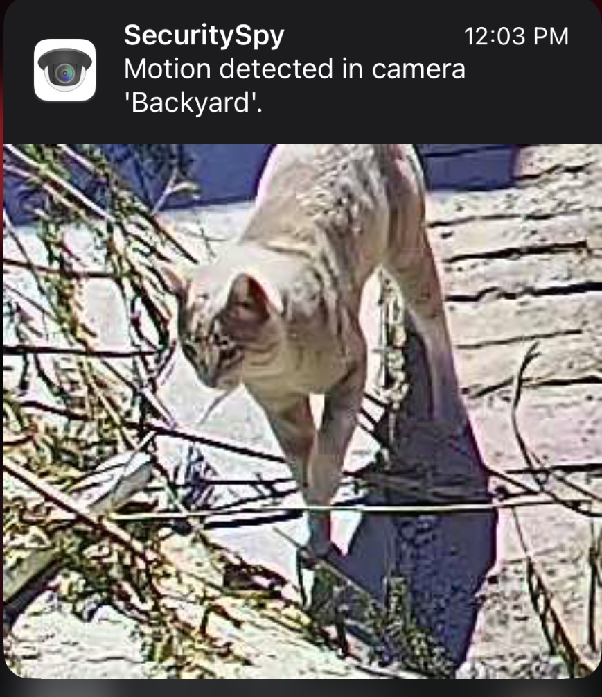 384A509A-F0AA-43AB-AD16-DCAC72E258D7.jpeg