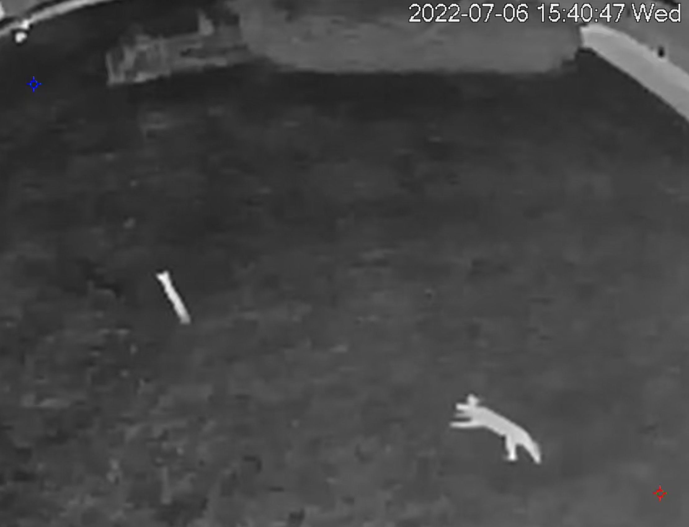 Screen Shot 2023-07-17 at 10.22.53 AM.png