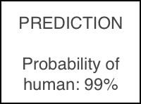 AI prediction results showing human detected