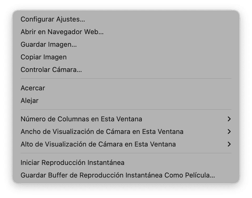 Menú contextual que aparece al hacer clic derecho en la imagen en vivo de una cámara