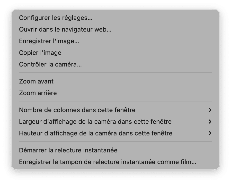 Le menu contextuel affiché lors d'un clic droit sur l'image en direct d'une caméra